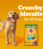 Pedigree Biscrok Chicken Dog Biscuits - Image 6
