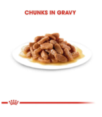 Royal Canin Kitten Gravy Wet Food - Image 2