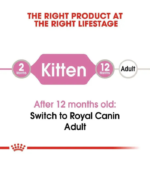 Royal Canin Kitten Gravy Wet Food - Image 5
