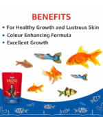 Drools Finsters Fish Flakes Food - Image 3