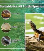 Vivaldis Turtle Vit & Calcium Drops - Image 2