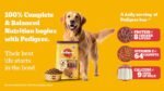 Pedigree meat & rice dog food - Image 3