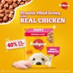 Pedigree Puppy Wet Dog Food, Chicken Chunks in Gravy, 70GM - Image 2