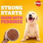 Pedigree Chicken Liver & Vegetables chunks in gravy 70gm - Image 4