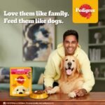 Pedigree Puppy Wet Dog Food, Chicken Chunks in Gravy, 70GM - Image 3