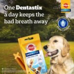 Pedigree Dentastix Mono Medium 7PC (180g) - Image 5