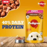 Pedigree Puppy Wet Dog Food, Lamb Flavour Chunks in Gravy, 130 g, Complete & Balanced Meal for Puppies