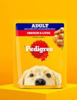 Pedigree Adult Wet Dog Food, Chicken & Liver Chunks in Gravy, 70 g Complete & Balanced Meal for Adult Dogs - Image 3