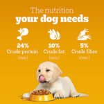 Pedigree Puppy Dry Dog Food, Chicken & Milk, - Image 5