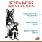 Royal Canin Maxi Starter Mother & Baby (For 1-2 Months/26-44kg of Dogs) Dry Dog Food - Image 4