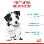 Royal Canin Mini Puppy Food, Dry Food, Supports Immune System, Brain Development & Digestive Health - Image 4