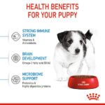 Royal Canin Mini Puppy Food, Dry Food, Supports Immune System, Brain Development & Digestive Health - Image 6