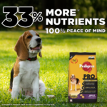 Pedigree pro Adult Small Breed, - Image 5