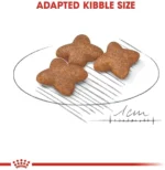 Royal Canin Mini Adult Dog Food, Dry Food, Supports Weight Management & Digestive Health - Image 3