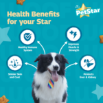 Mankind Petstar Adult Dry Dog Food (High Protein) Chicken & Wheat Flavor, 1kg | Improves Muscle & Strength, Supports Immunity, Protects Liver & Kidney| Adult Dog Food - Image 7