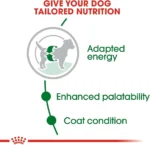 Royal Canin Mini Adult Dog Food, Dry Food, Supports Weight Management & Digestive Health - Image 4