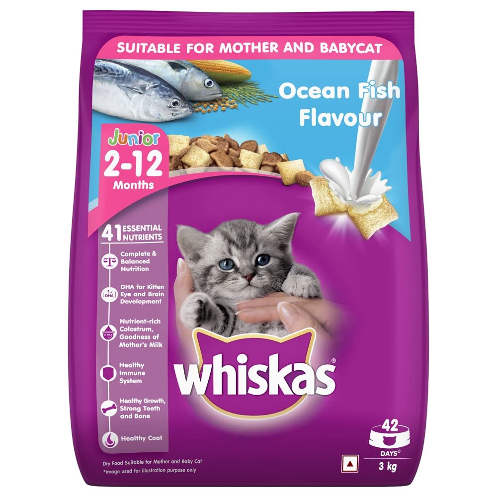 61ZxPsIl-DL Whiskas Kitten (2-12 Months) Dry Cat Food, Ocean Fish with Milk - Image 1