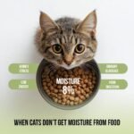 Zoomies Wet Stuff Chicken Liver Cat Soup for All Life Stages, 50g (Pack of 20) | 100% Natural | 94% Moisture | Grain-Free | Urinary & Kidney Support | No Artificial Preservatives - Image 2
