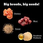 Pedigree pro adult large breed - Image 4