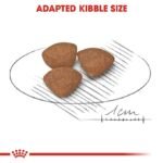 Royal Canin Mini Puppy Food, Dry Food, Supports Immune System, Brain Development & Digestive Health - Image 7