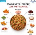 Drools Real chicken and pumpkin 150gm - Image 4