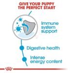 Royal Canin Mini Puppy Food, Dry Food, Supports Immune System, Brain Development & Digestive Health - Image 5