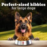 Pedigree pro adult large breed - Image 7