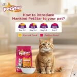 Mankind PetStar Kitten Cat Food – Salmon Flavour (1 Kg) | Complete & Balanced Nutrition for Healthy Growth, Urinary, Immune & Digestive Support - Image 7