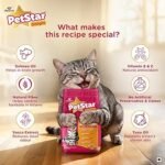 Mankind PetStar Kitten Cat Food – Salmon Flavour (1 Kg) | Complete & Balanced Nutrition for Healthy Growth, Urinary, Immune & Digestive Support - Image 6