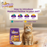 Mankind PetStar Adult Cat Food – Salmon Flavour (2.8 KG) | Complete Nutrition with Taurine & Omega for Urinary, Digestive & Heart Healt - Image 7