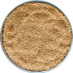 All Life Stages Dry Bird Food Small Size Kangni Seed Bird Food (950 Grams - 1