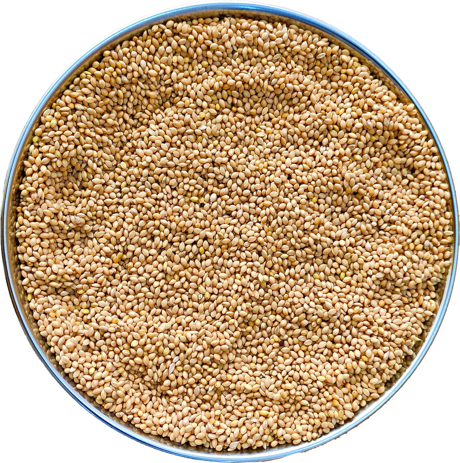 91l8MjNwEZL All Life Stages Dry Bird Food Small Size Kangni Seed Bird Food (950 Grams - 1 - Image 1