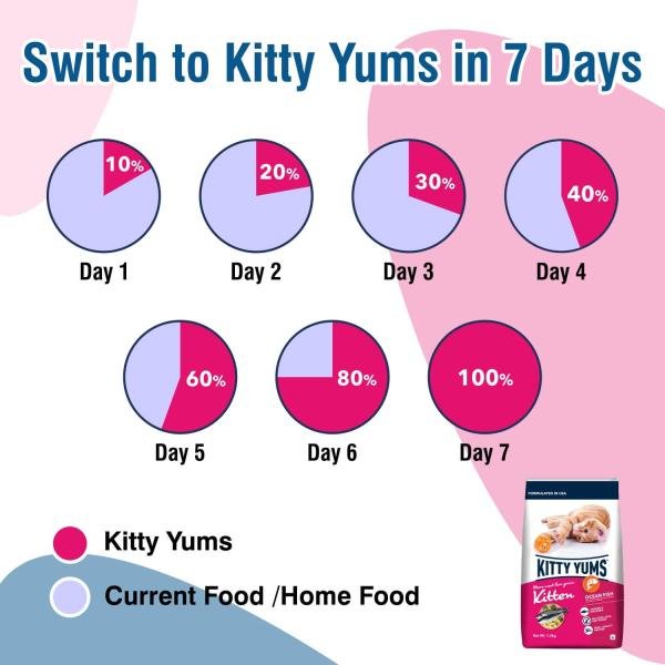 Kitty Yums Kitten(1-12 Months) Dry Cat Food, Ocean Fish - Image 4