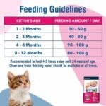 Kitty Yums Kitten(1-12 Months) Dry Cat Food, Ocean Fish - Image 3