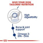Royal Canin Maxi Adult Dog Food, Dry Food, Supports Digestive Health & Optimal Health, Provides Bone & Joint Support - Image 3