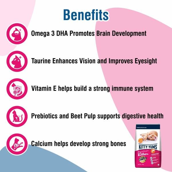 Kitty Yums Kitten(1-12 Months) Dry Cat Food, Ocean Fish - Image 5