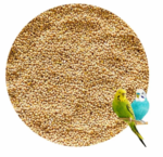 All Life Stages Dry Bird Food Small Size Kangni Seed Bird Food (950 Grams - 1 - Image 4