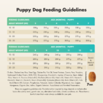 Medium Breed Puppy Dog Food (2–12 Months), Balanced Growth Formula with Essential Nutrients, Supports Bone Development, Immunity & Healthy Digestion – 4 Kg - Image 6