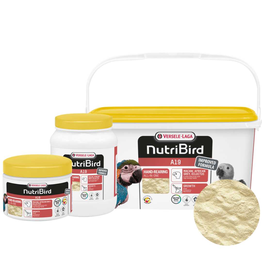 nutribird-a19-hand-rearing-formula-1046094_1200x1200 Versele-Laga Nutribird A19 Hand-Rearing Food Powder For Macaws, African Greys, Eclectus Parrots & Other Baby Birds - Image 1