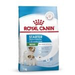 Royal Canin Mini Starter, Mother & Babdog Food, 1 Kg, Dry Food, Supports Complex Natural Defence & digestive health, Provides Gestation/Lactation Support, Supports Easy rehydration