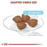 Royal Canin Mini Starter, Mother & Babdog Food, 1 Kg, Dry Food, Supports Complex Natural Defence & digestive health, Provides Gestation/Lactation Support, Supports Easy rehydration - Image 2